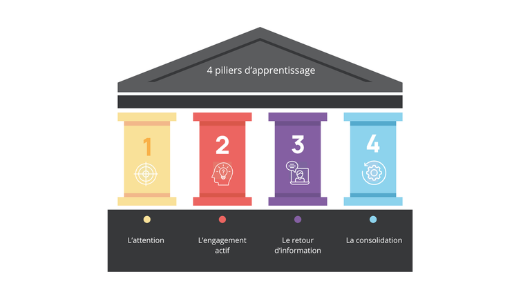 Les 4 piliers de l'apprentissage
