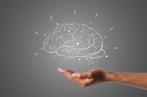 cerveau dessiné au dessus d'une main, pour illustrer la neuropédagogie