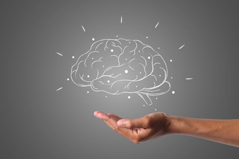 cerveau dessiné au dessus d'une main, pour illustrer la neuropédagogie