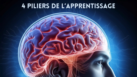 cerveau pour représenter l'apprentissage et le savoir 